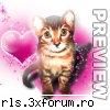Forumurile noastre - nu am,,, dar stiu site cool - Site-uri```
