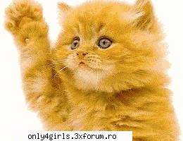 PicsGame 1.0 - Animatzie q o fata care da din fund - Joculetze```
